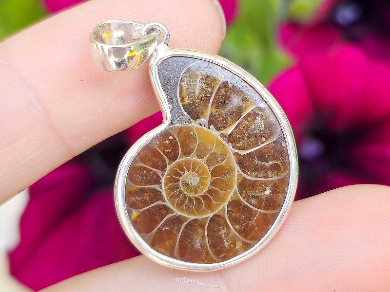 Silver pendant with ammonite Ag 925/1000 5.0g