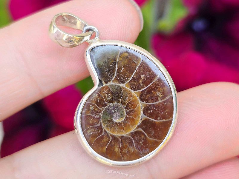 Silver pendant with ammonite Ag 925/1000 3.7g