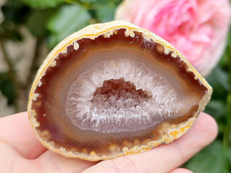 Agate Geode with Hollow 172g Brazil