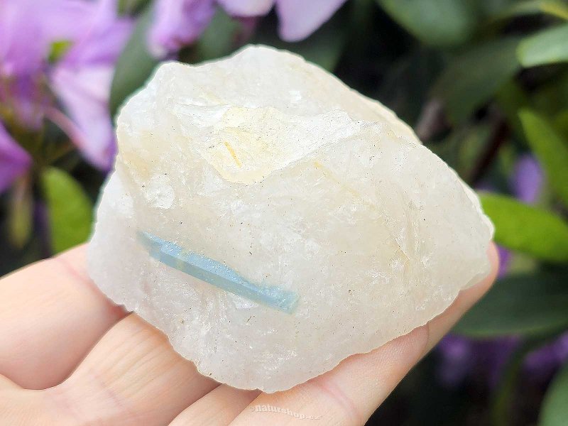 Aquamarine in crystal from Brazil 142g