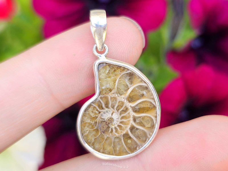 Silver pendant with ammonite Ag 925/1000 3.4g