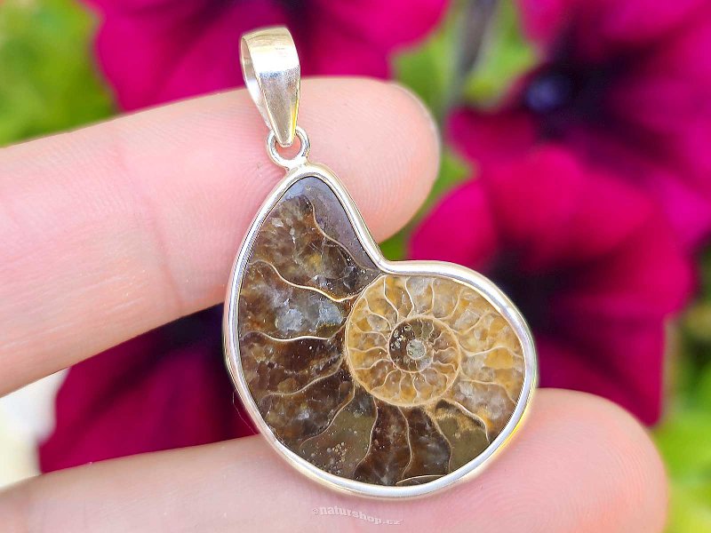 Silver pendant with ammonite Ag 925/1000 3.9g