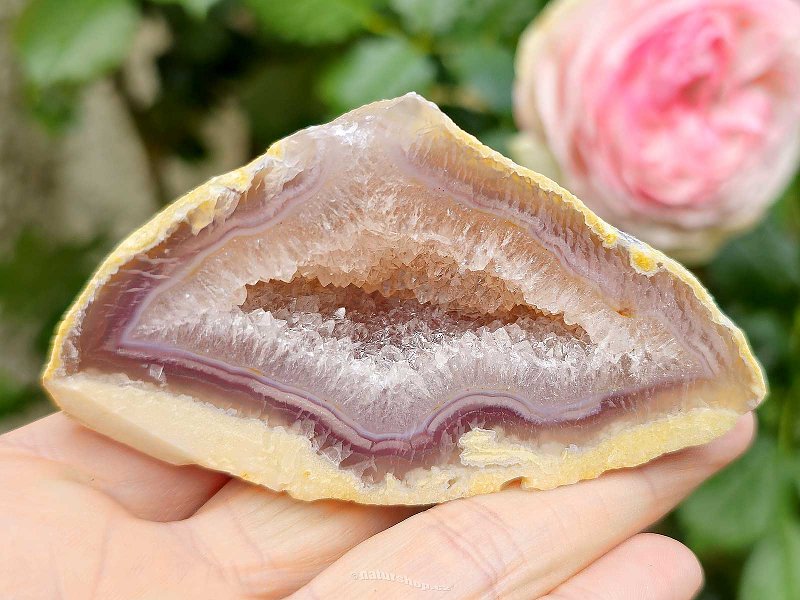 Agate Geode with Hollow 138g Brazil