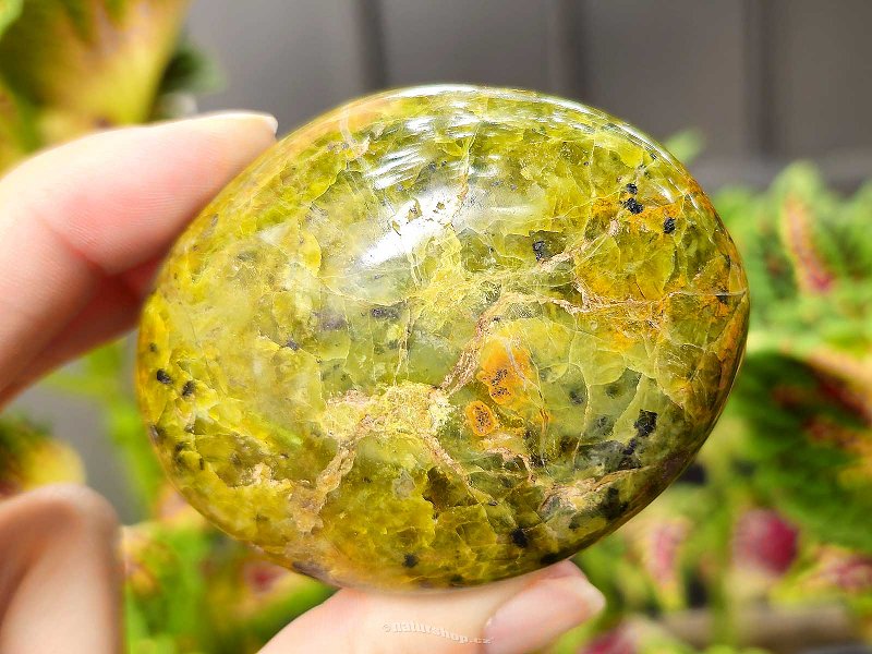 Polished stone green opal 156g Madagascar