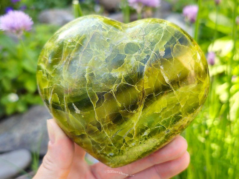 Hladké srdce zelený opálu 653g Madagaskar
