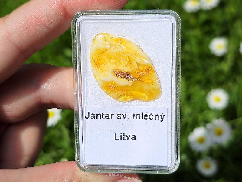 Light milky amber (Lithuania) 1.2g