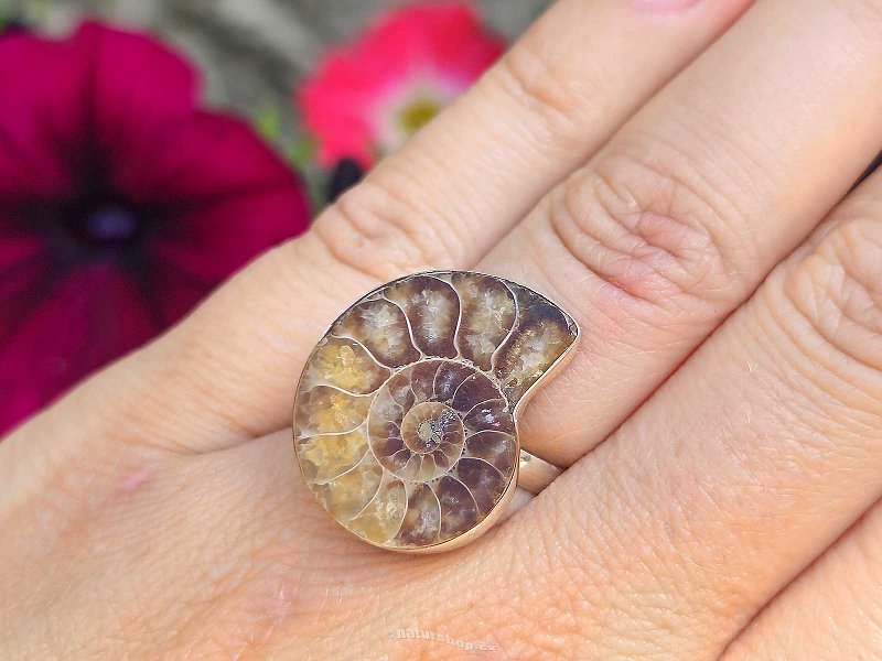 Ammonite ring with an enlarging bezel Ag 925/1000 4.8g