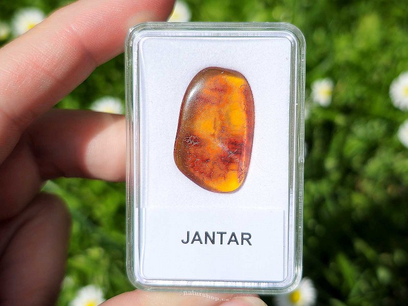 Polished amber from Lithuania 1.4g