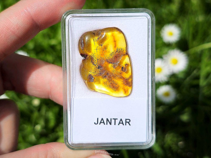 Polished amber (Lithuania) 2.4g