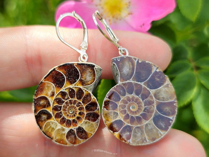 Ammonite clasp earrings Ag 925/1000 13.4g
