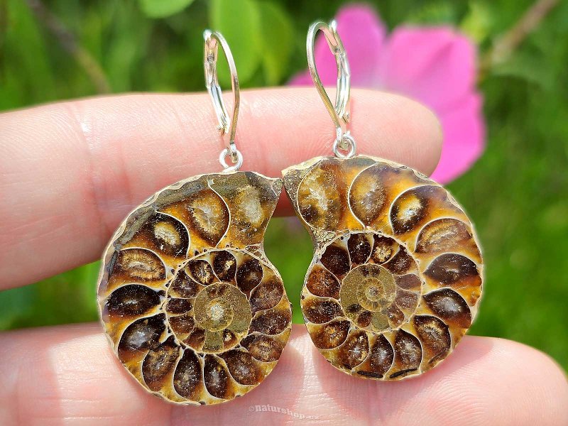 Ammonite clasp earrings Ag 925/1000 14.3g