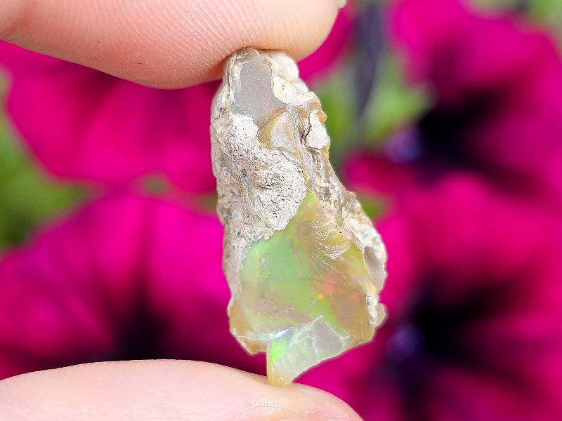 Natural Ethiopian opal in rock 2.2g from Ethiopia