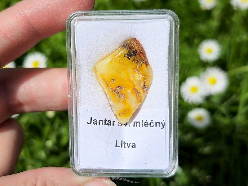Light milky amber (Lithuania) 2.3g