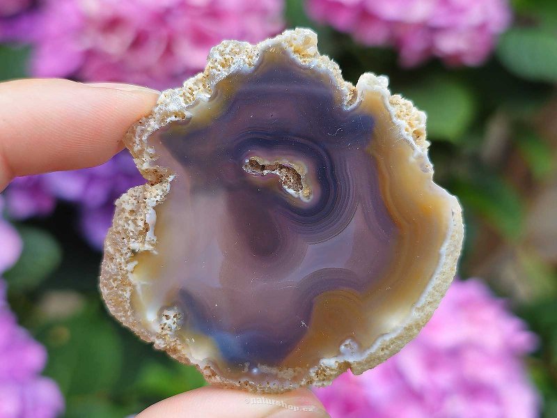 Agate slice from Brazil (22g)