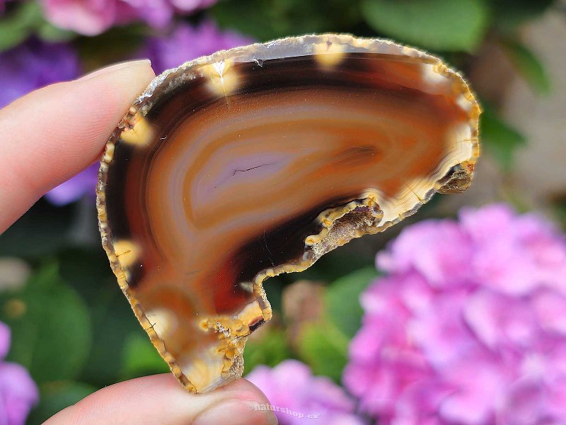 Brown agate slice from Brazil 21g