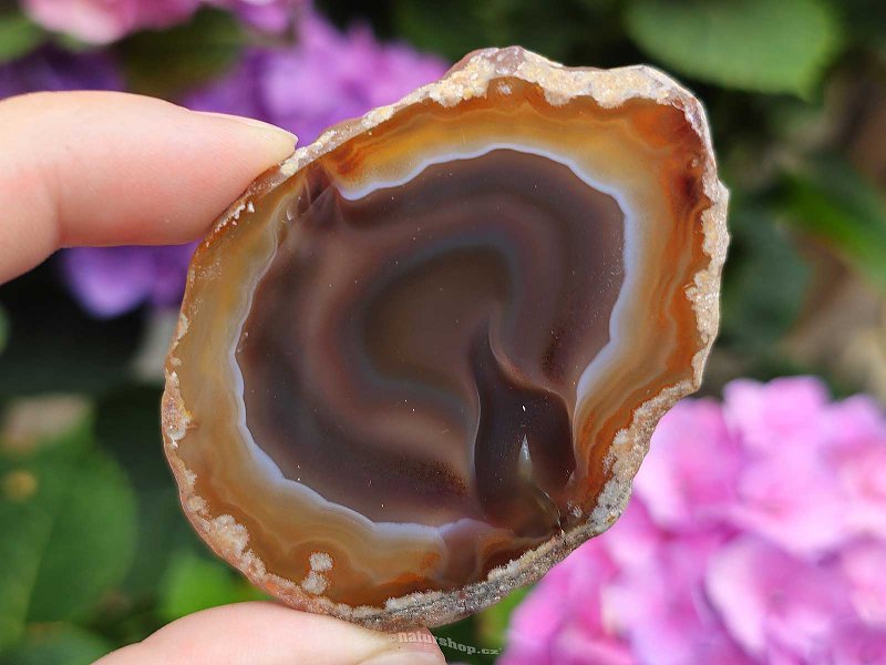 Agate slice from Brazil (28g)