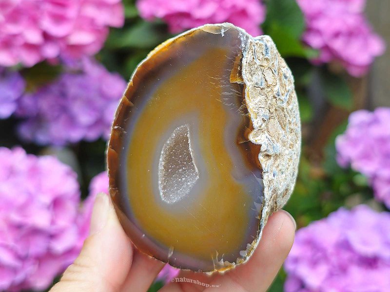 Geode agate gray - brown with hollow Brazil 197g