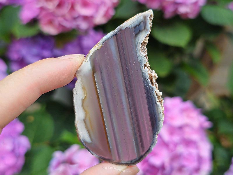 Agate slice from Brazil 19g