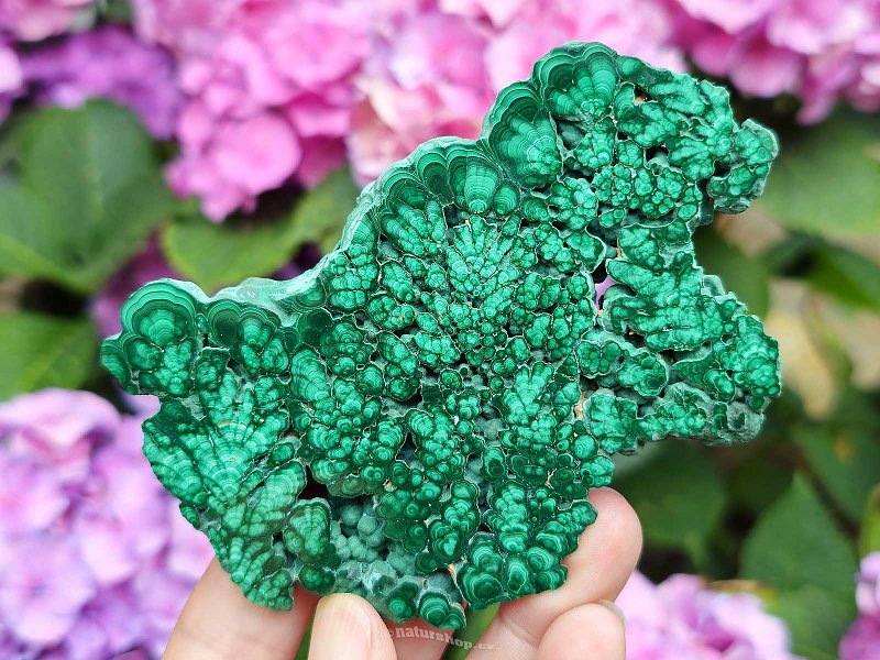 Malachite slice shiny Congo, Africa 182g