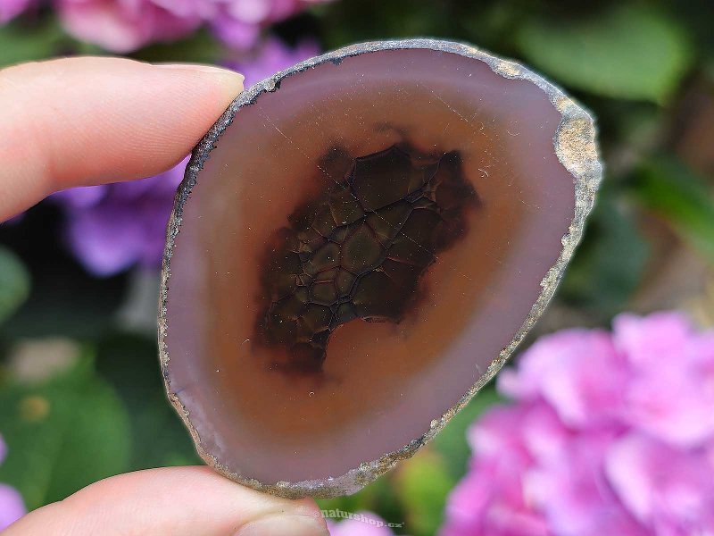 Agate slice from Brazil (25g)