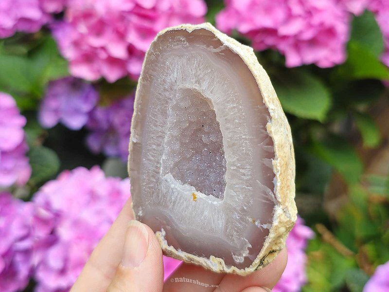 Geode gray agate with a Brazil hollow 200g