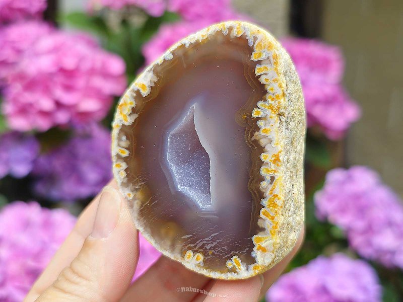 Agate brown geode with cavity Brazil 168g