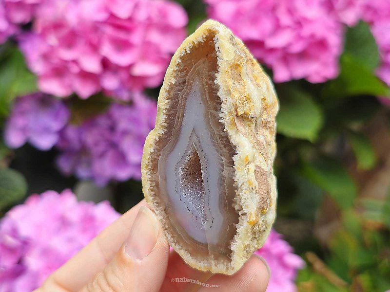 Geode agate gray - brown with hollow Brazil 114g