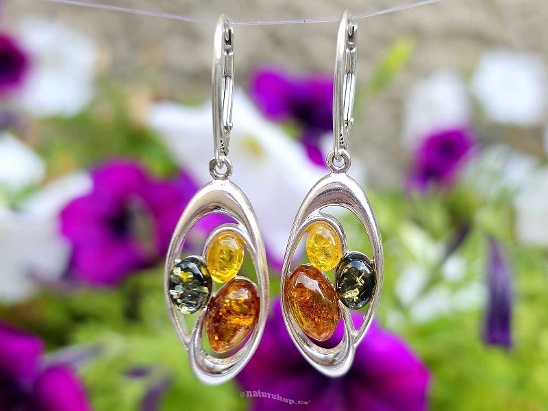 Silver earrings with three-color amber Ag 925/1000