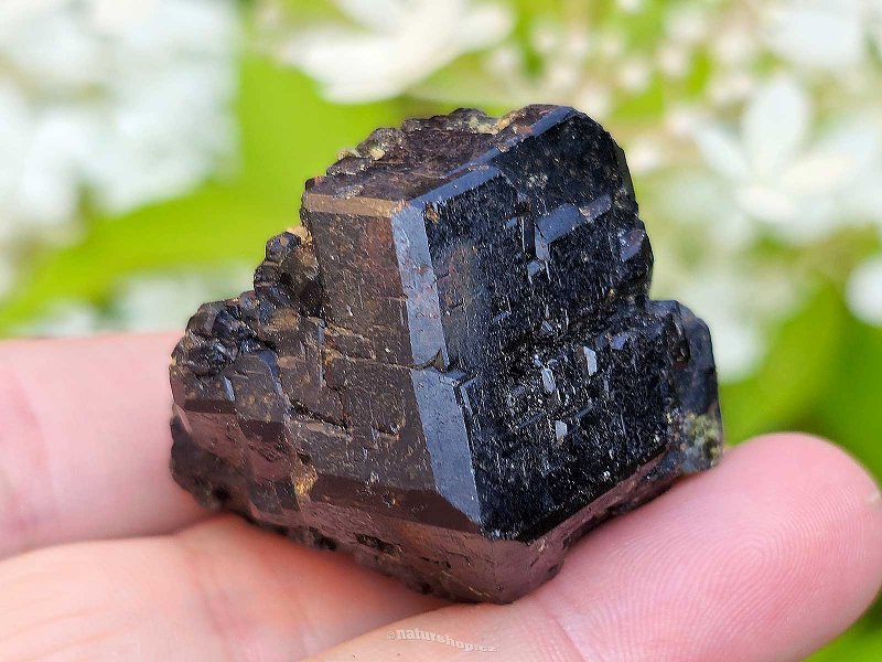 Garnet melanite raw crystal Mali 66g