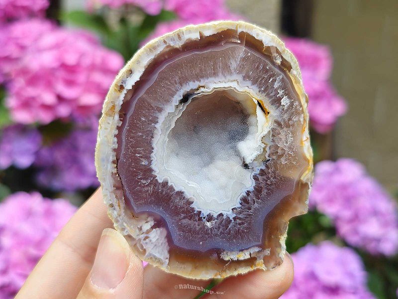 Agate brown geode with cavity Brazil 170g