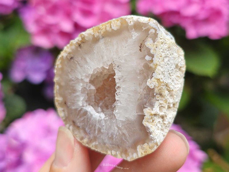 Geode mini gray agate with hollow Brazil 80g