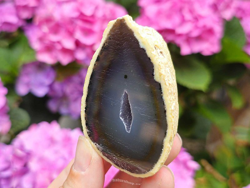 Geode agate gray - brown with hollow Brazil 111g