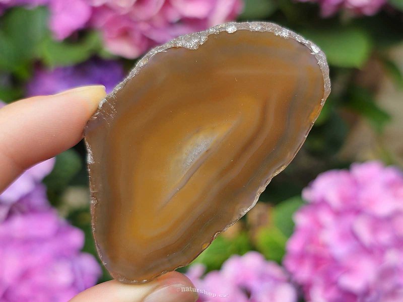 Brown agate slice with core from Brazil 27g