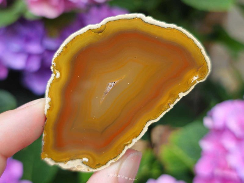 Brown agate slice from Brazil 20g