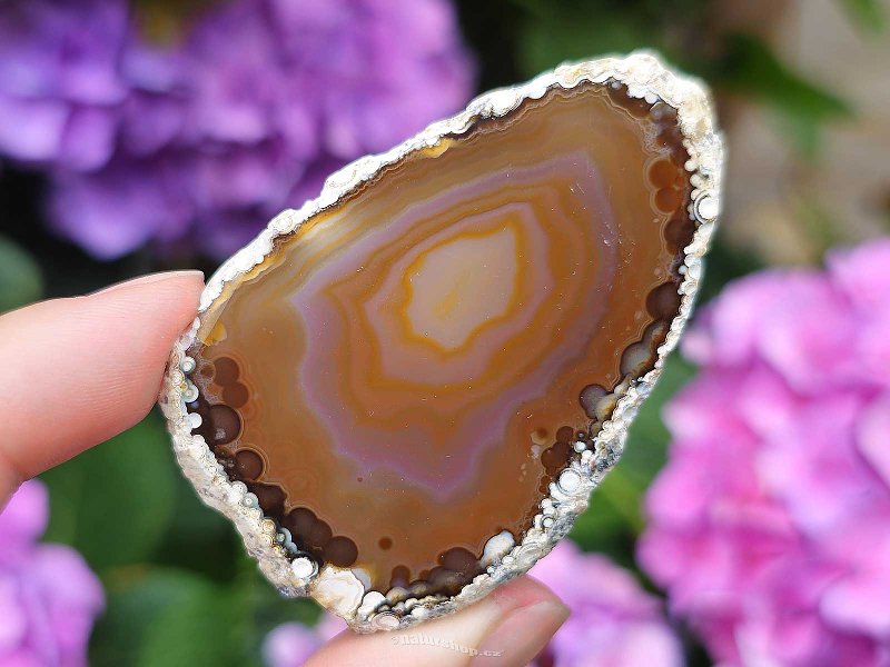 Brown agate slice from Brazil 17g