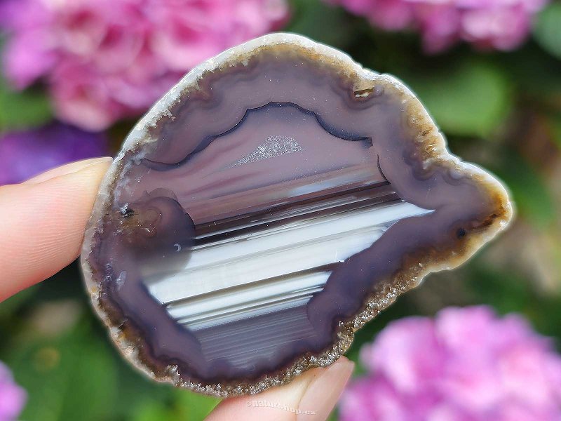 Brazil agate slice 23g