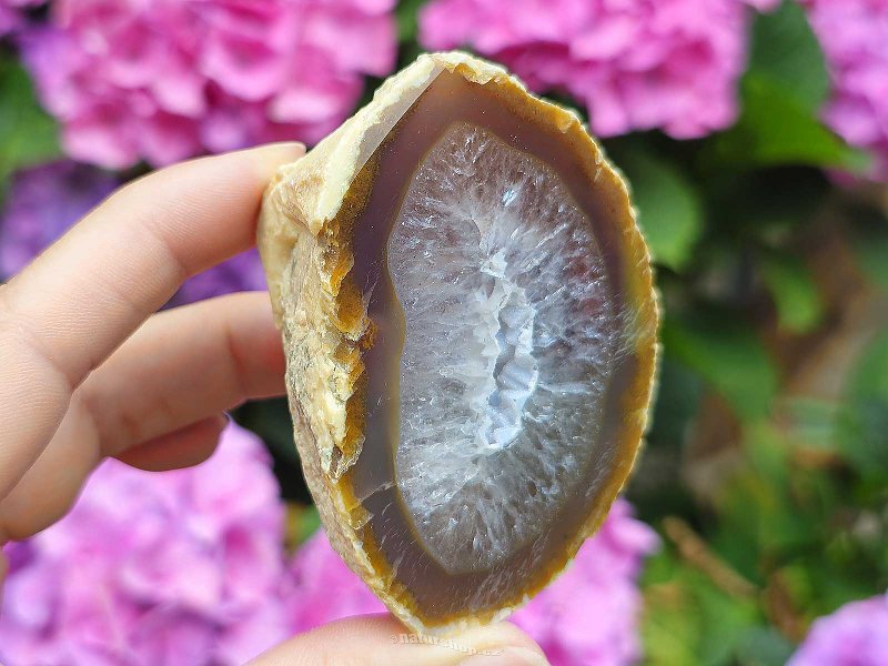Brown agate geode with a Brazil hollow 171g