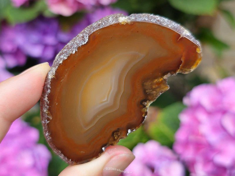 Agate brown slice from Brazil (26g)
