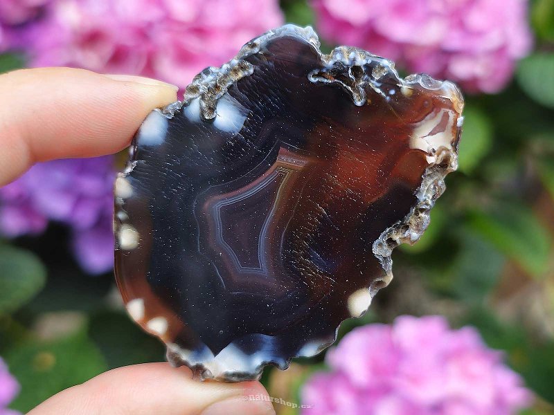 Agate slice dark brown Brazil 24g