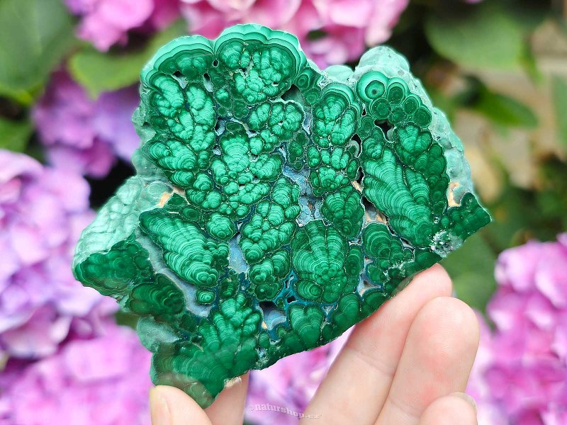 Malachite slice shiny Congo, Africa 199g