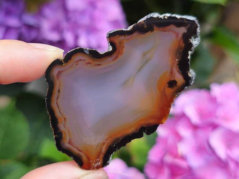 Agate slice from Brazil (17g)