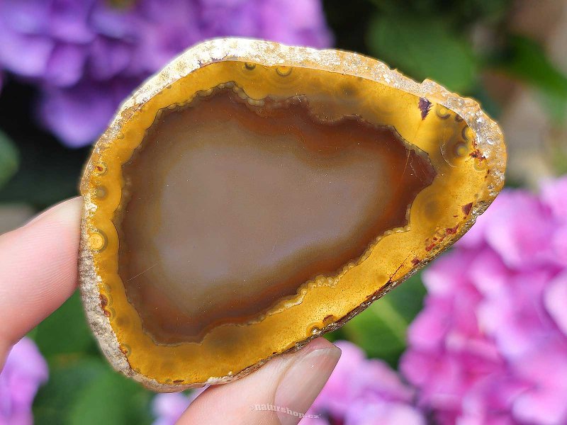 Brown agate slice from Brazil 25g