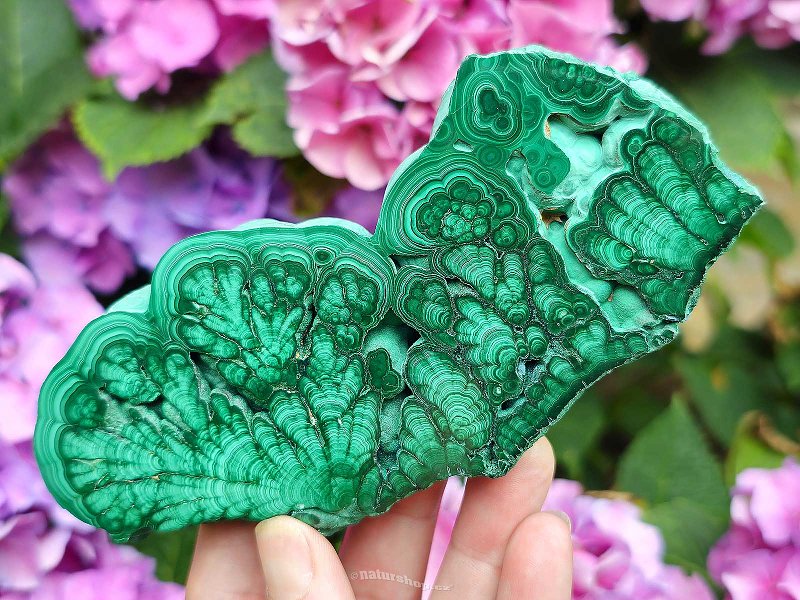 Malachite slice shiny Congo, Africa 211g