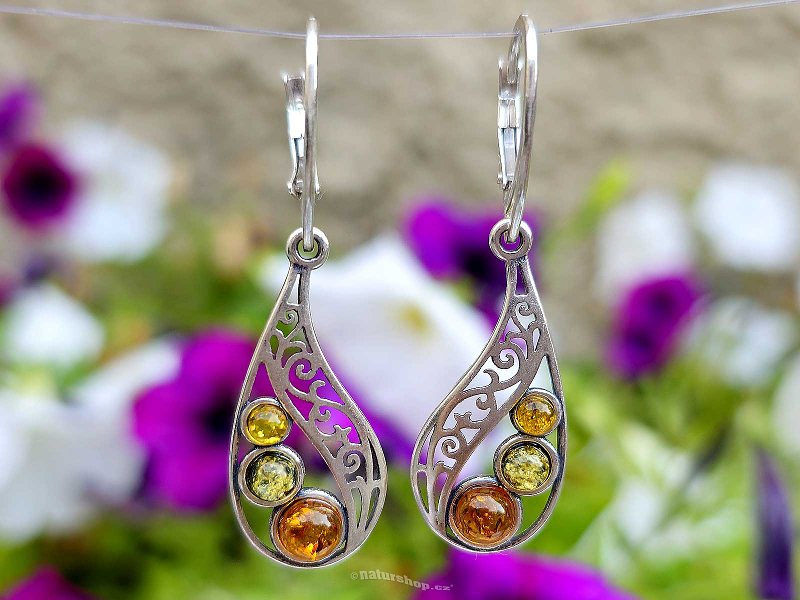 Amber earrings colored Ag 925/1000