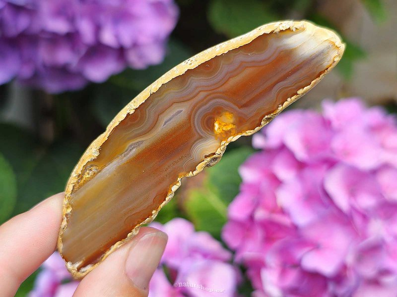 Light honey agate slice from Brazil (17g)