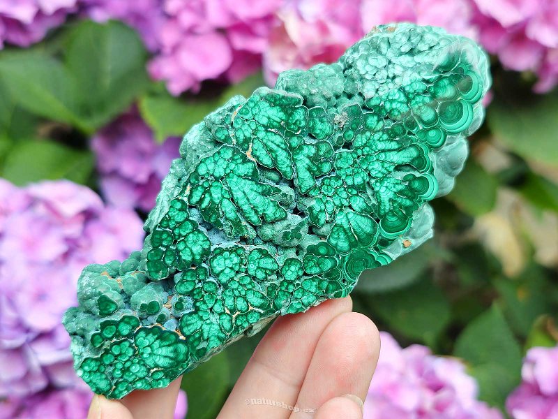 Malachite slice shiny Congo, Africa 191g