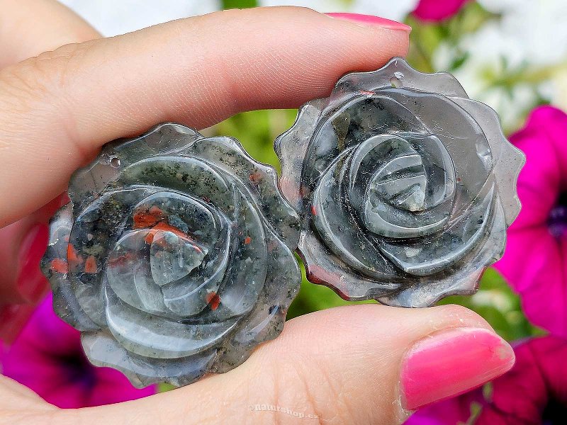 Heliotrope rose flower cut approx. 34mm