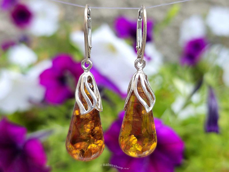 Amber earrings big tear Ag 925/1000 6.2g