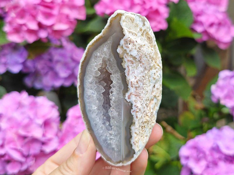 Geode agate light gray with Brazil 238g