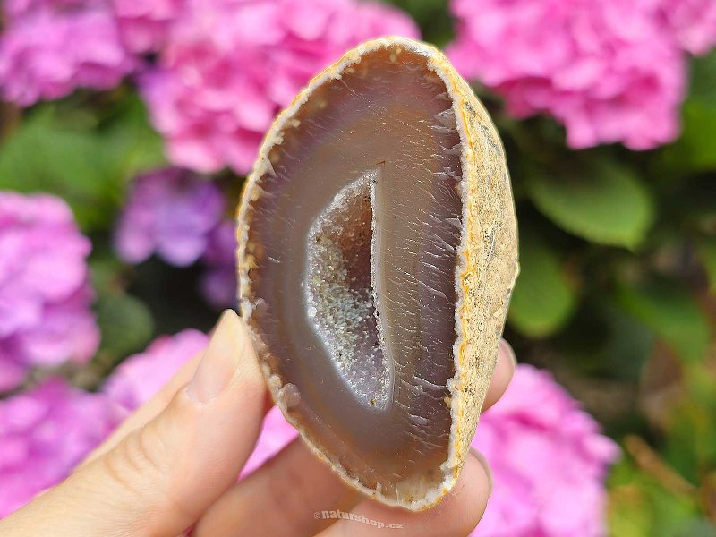 Brown agate geode with a Brazil hollow 123g